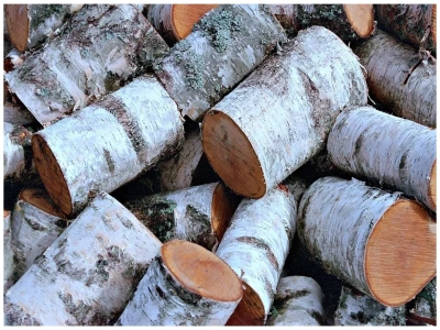 Дрова берёзовые