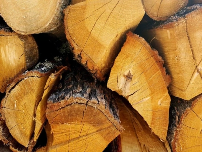 Дрова ольховые