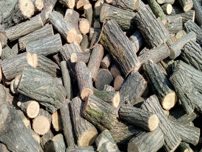 Дрова акация