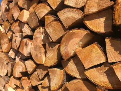 Дрова дубовые